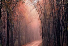 杨瀚森NBA发展联盟第二战“準(zhǔn)两双” 混音2分惜敗(bài)湖(hú)人