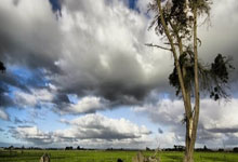 杨瀚森NBA发展联盟第二战“準(zhǔn)两双” 混音2分惜敗(bài)湖(hú)人