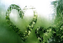 NBA全明星賽(sài)改革：美國(guó)对抗(kàng)世界的新篇章